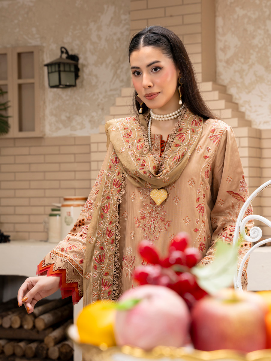 Beige Embroidered Silk Viscose 3 Piece Suit with Bamber Chiffon Dupatta