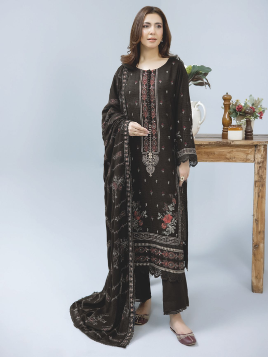 Elegant Embroidered Winter Dress with Luxury Wool Shawl