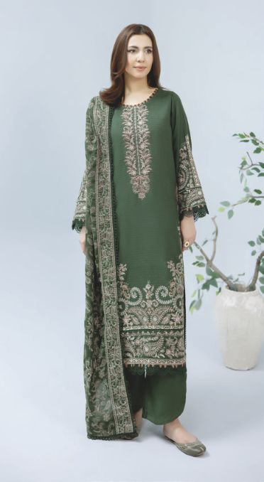Luxury 3-Piece Winter Outfit with Detailed Embroidery and Wool Shawl