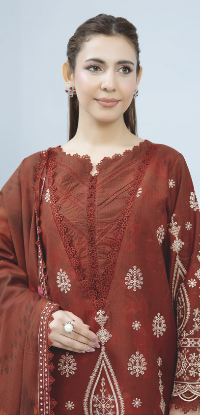 Luxury Embroidered Slub 3-Piece Collection with Printed Shawl & Trousers