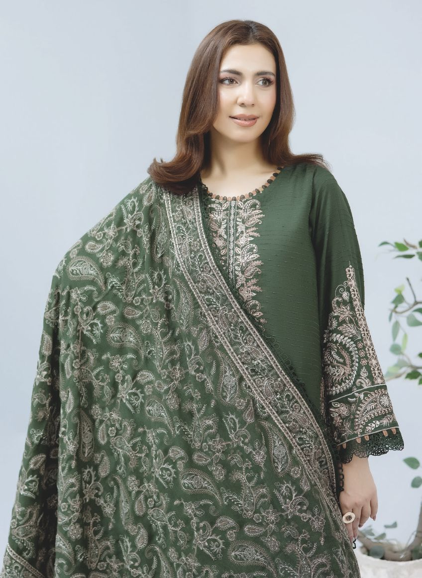 Luxury 3-Piece Winter Outfit with Detailed Embroidery and Wool Shawl