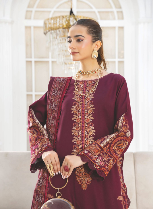 Embroidered Winter Outfit with Embroidered Luxury Shawl